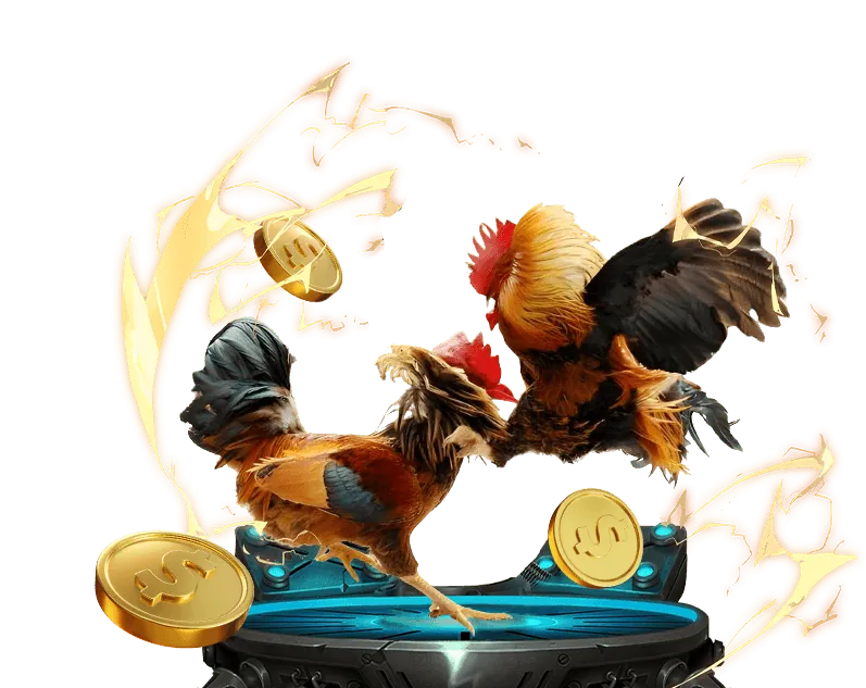 Giới thiệu chương trình VIP độc quyền của alo88